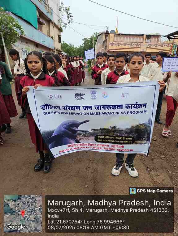Dolphin Conservation programme_2